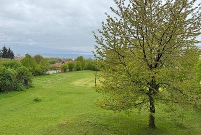 Oportunitate investitie - Covasna 21000mp intravilan - 9