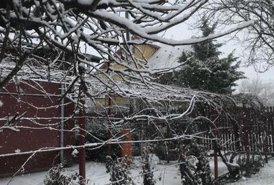 Casa de vanzare in sat Stefanesti, Ileana Casa de vanzare in sat Stefanesti, Ileana - 9