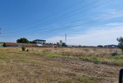 Teren Construcții intravilan de 10000 mp, în Nord-Est - 7