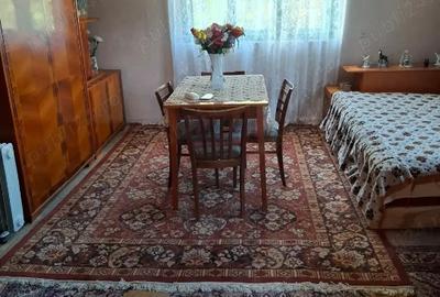 Vand casa com Petris Arad - 4