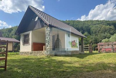 Casa de vacanta - zona Valea Bozom - Apata jud.Brasov - 9