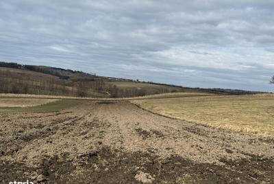 Teren de 1556 mp, în Central - 4