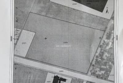 Teren de 43000 mp, în Căzănești - 2