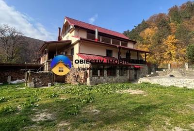 Vila-posibilitate pensiune Tarcau DN - 17