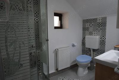 Casă cu Canalizare în Iosefin - 4