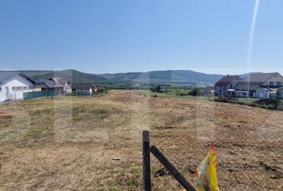 Teren intravilan 1 Ha si 42 Ari, zona Viisoara - 1