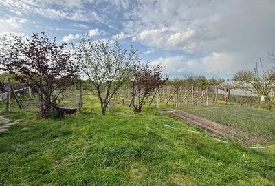 Casă individuală cu 3 camere cu Canalizare în Rogova - 5