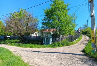 Teren de 7009 mp, în Ciurbești - 5