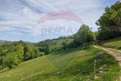 Teren 20,131 mp/Extravilan/Poiana Marului - 1