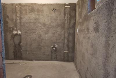 FARA COMISIOANE casa TOP  cu 4 camere 2 bai PARTER+pod placa terasa cam tehnica - 24