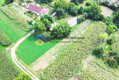 TEREN intravilan GIROV  4133 mp - 3