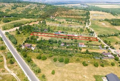 Teren cu priveliste Vulcan - 3