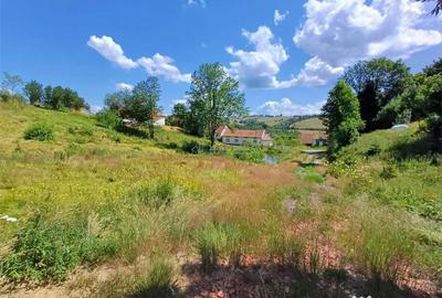 Teren de 4500 mp, în Brebu - 6