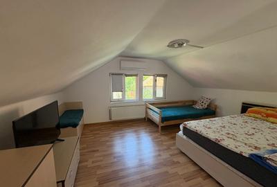 Casa batraneasca renovata Baile Olanesti, Valcea, sat Cheia - 4