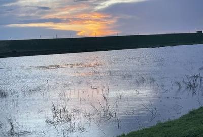 Teren de 120000 mp, în Drăgănești-Vlașca - 1