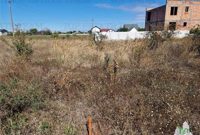 Teren 1491 mp in zona rezidentiala din Ciorogarla Teren 1491 mp in zona rezidentiala din Ciorogarla - 1