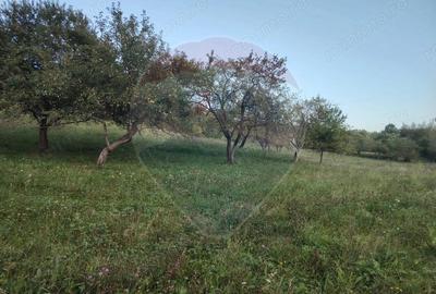 EXCLUSIVITATE! Teren 2339 mp in Barsana - Comision 0%! - 9