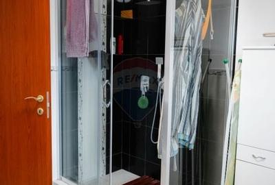 Casa / Vila cu 5 camere de vanzare - 50