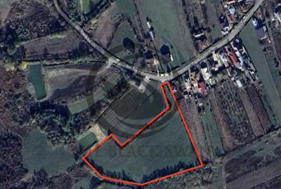 Teren de 11000 mp, în Ghirdoveni - 11