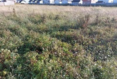 Comuna Berceni ,Strada Miorita - 3