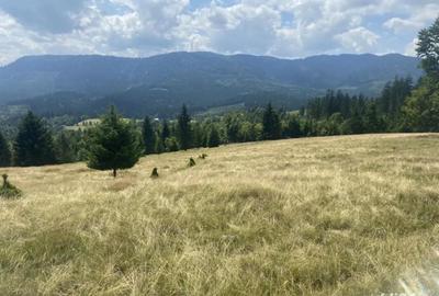 Teren de 33277 mp, în Central - 1