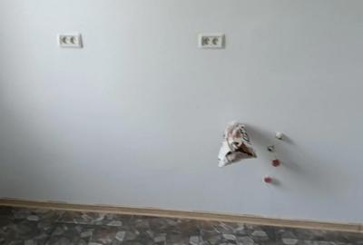 Apartament cu 2 camere decomandat în Topraisar - 1