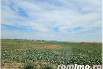 Teren cota parte 4/16 Horia, ID: R1967996 - 4