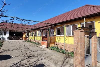 Casă cu 3 camere cu Teren 1567 Mp în Ianova - 19