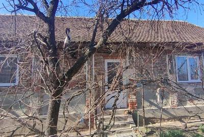 Casă cu 2 camere cu Teren 1800 Mp în Pădureni - 12