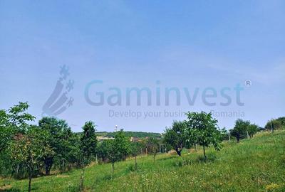 Teren Construcții intravilan de 4076 mp, în Dealuri Oradea - 1