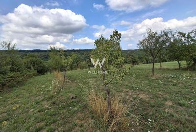 De vânzare teren extravilan în Sibiel, jud. Sibiu - 3223 mp - 6