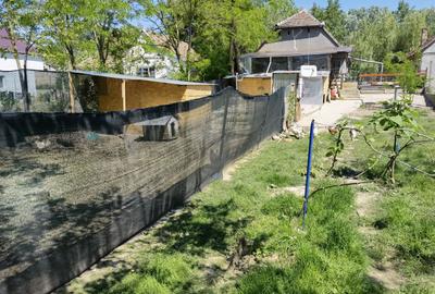 Casă individuală cu 3 camere cu Teren 662 Mp în Periam - 15