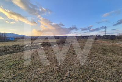 Teren de vanzare – 2.106 mp, agricol extravilan, Calinis, Rasinari - 2