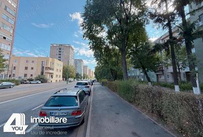 Apartament 2 camere+boxa,60 mp, Calea Romanilor-Boul Rosu cu termoteca - 10