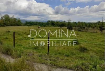 Teren 5000 mp, cu utilita?i, in comuna Crasna - 1