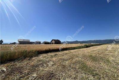 Teren intravilan de 543 mp cu PUZ constructie duplex in Cristian - 2
