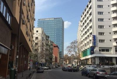 Garsoniera ultracentrala, mobilata , etaj 3, bloc solid, termoiz, langa Cismigiu - 11
