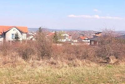 Spațiu comercial, în Paleu - 5