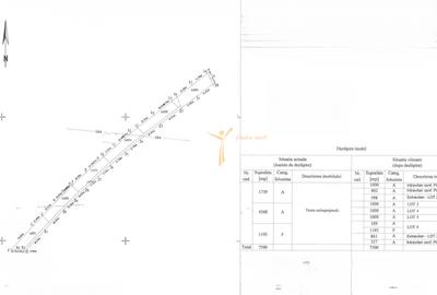 Teren Construcții intravilan de 15000 mp, în Poieni - 1