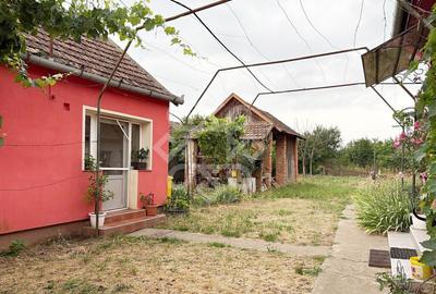 Casa la 22 km de Oradea, Santaul Mare, Bihor - 2