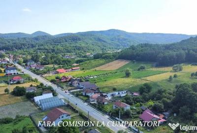 Casă cu 4 camere cu Teren 1730 Mp în Mihăești - 13