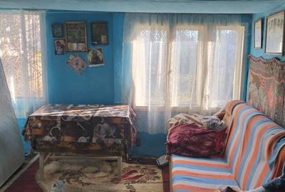 Casă cu 2 camere în Dumbrăvești - 3