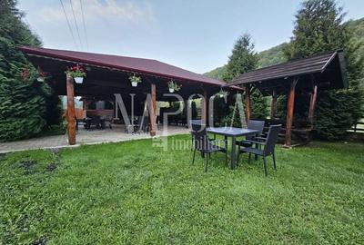 Casă individuală cu 19 camere cu Teren 9669 Mp în Mărgău - 9