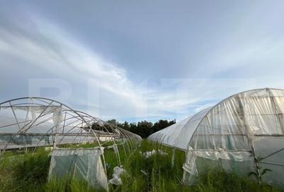 Teren par?ial intravilan 23.500 mp, apa, curent ?i suprav - 7