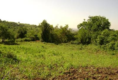 Teren în Central - 4