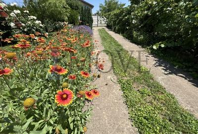BELCIUGATELE- Casă de vacanță sau locuință permanentă - 24