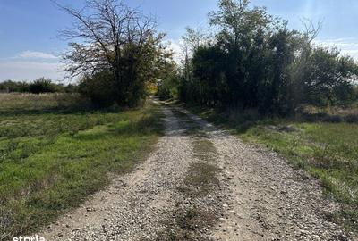 Spațiu comercial, în Nejlovelu