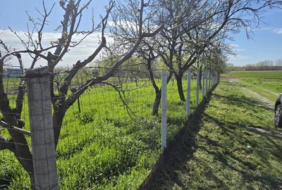 Teren Construcții intravilan de 1300 mp, în Curtișoara - 16