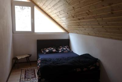 Cabana de inchiriat - 2