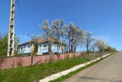 Casa cu 10000mp de teren in Buza, la 50 km de Cluj-Napoca - 1